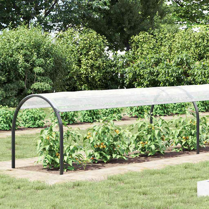 Transparente Plane mit Ösen 1x8 m Polyethylen