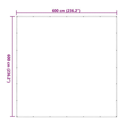 Transparente Plane mit Ösen 6x6 m Polyethylen