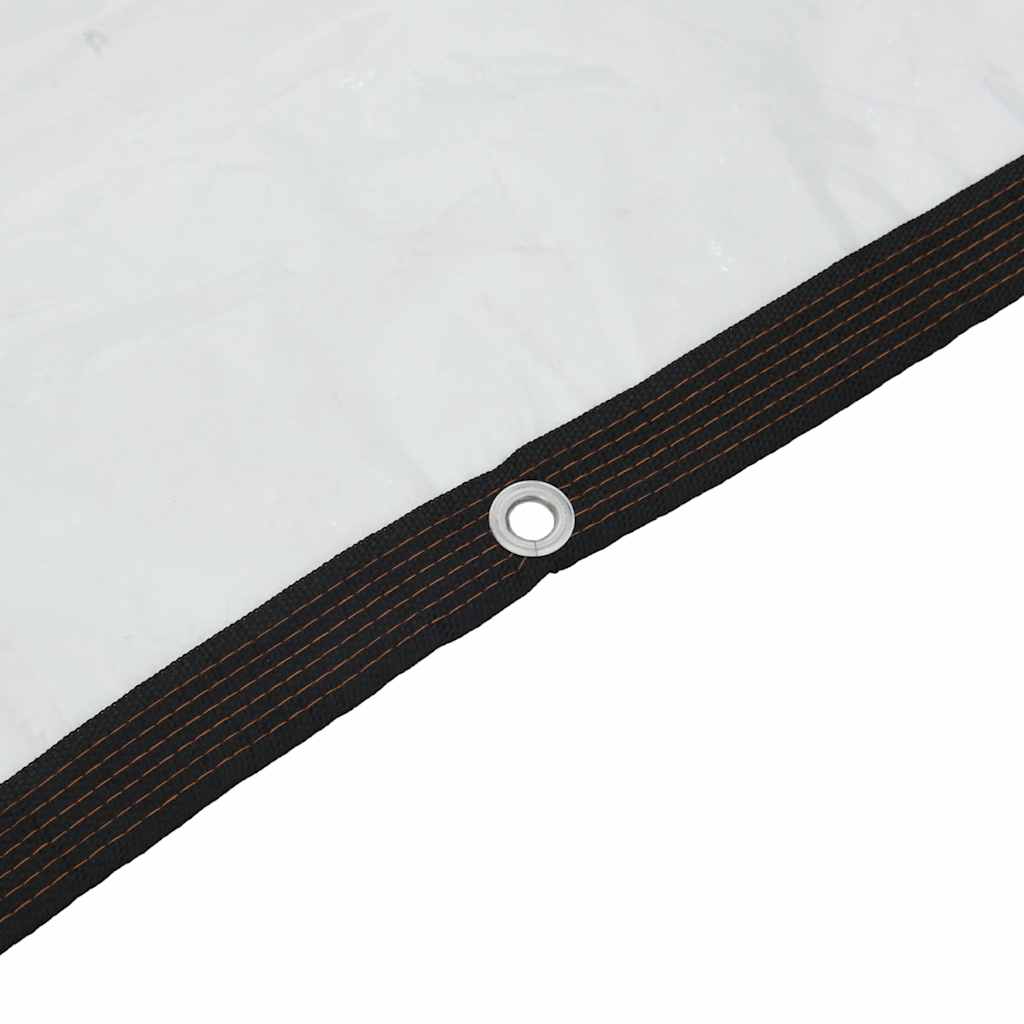 Transparente Plane mit Ösen 2x3 m Polyethylen