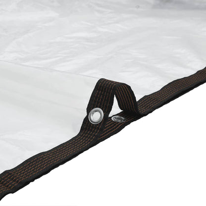 Transparente Plane mit Ösen 6x6 m Polyethylen