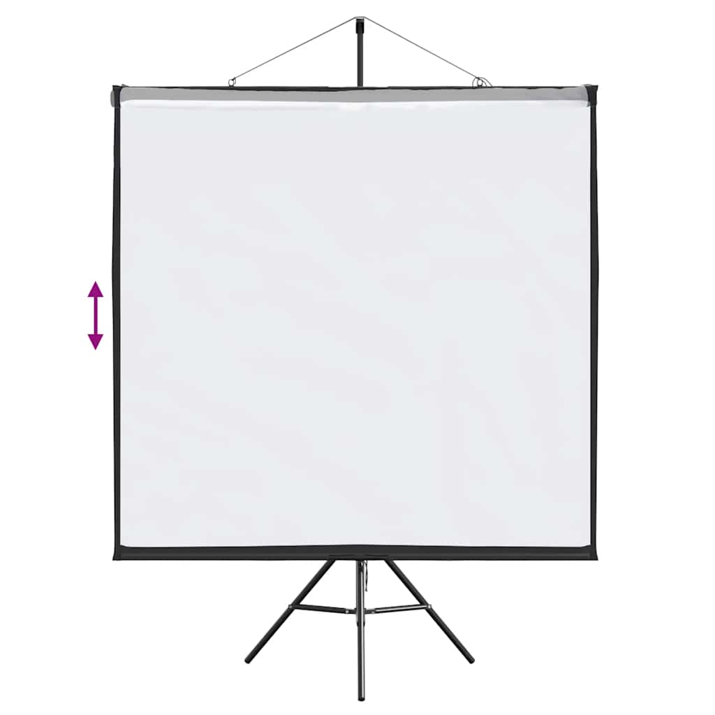 Projektionsleinwand mit Stativ 67 Zoll 1:1