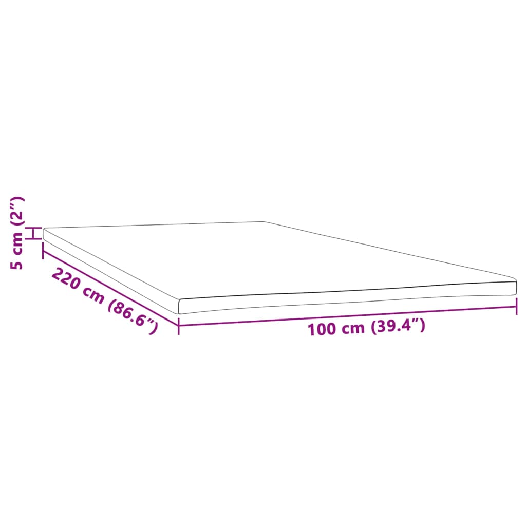 Surmatelas 100x220x5 cm