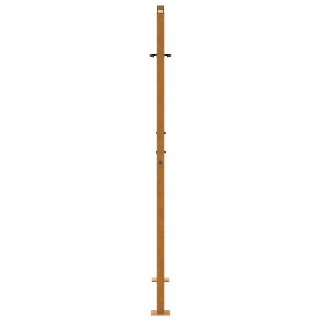 Gartentor 100x125 cm Verwitterungsstahl Blattdesign