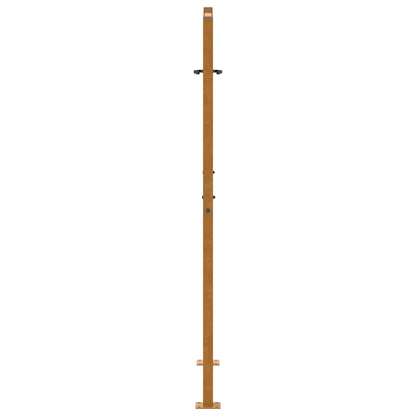 Gartentor 100x125 cm Verwitterungsstahl Blattdesign