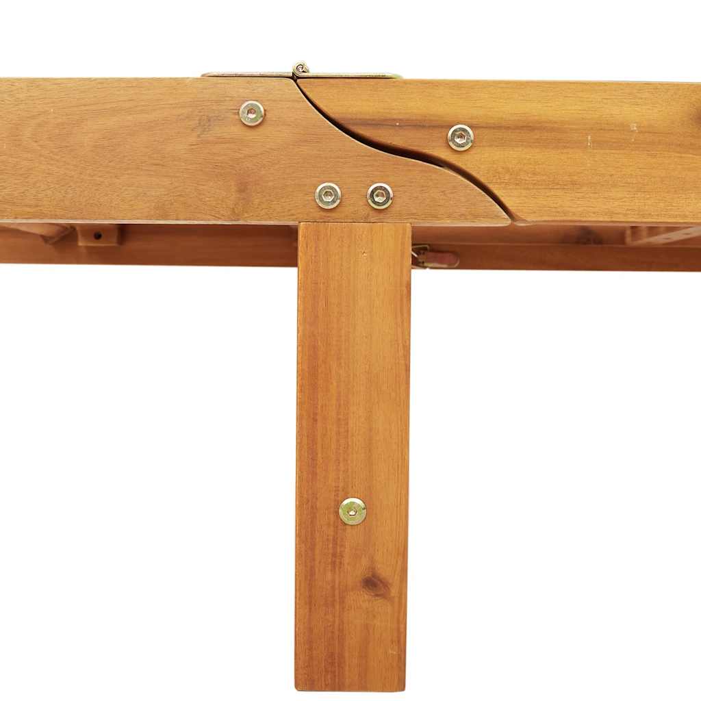 Chaises longues, lot de 2, en bois d'acacia massif