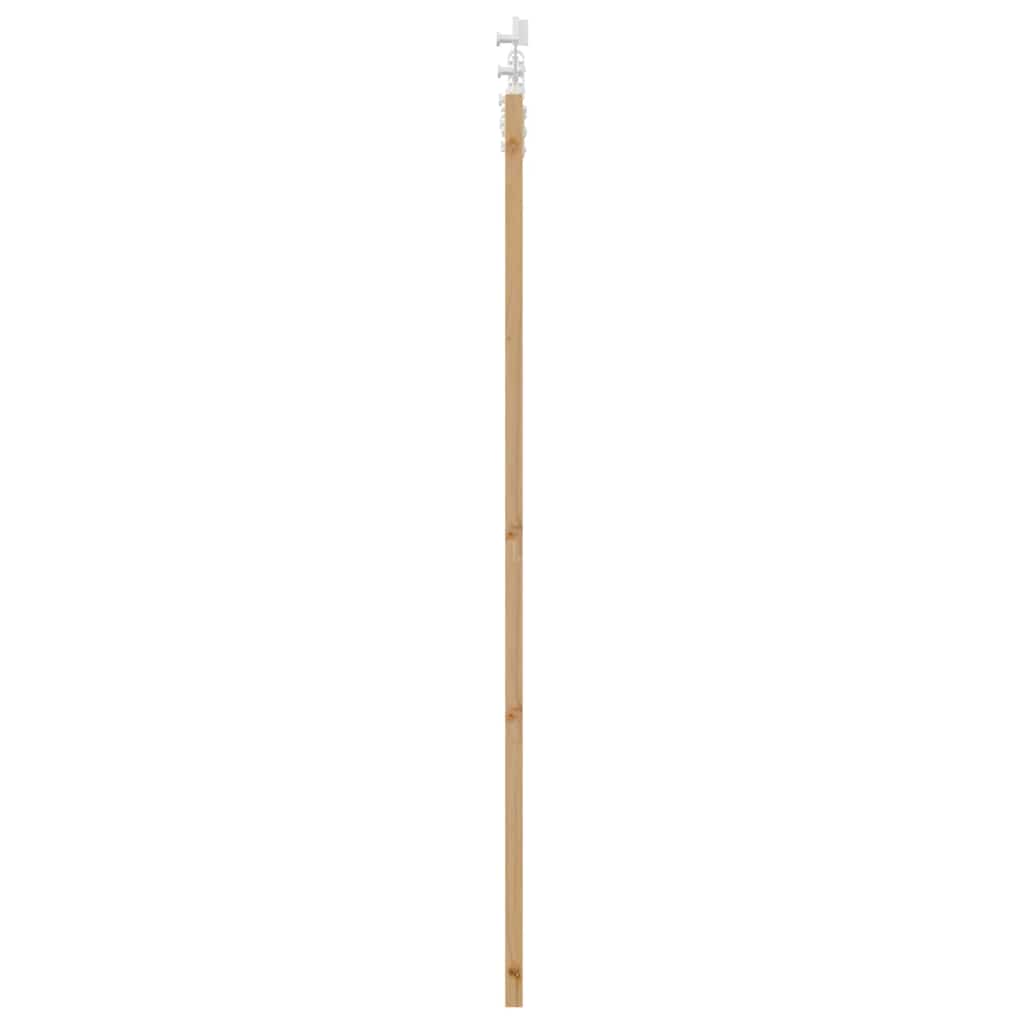 Schiebetür Natur 61 x 198,5 cm Solid Pine Wood and Glass