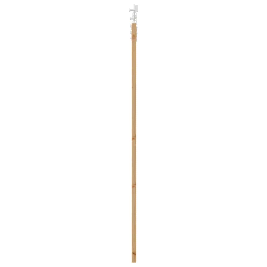 Schiebetür Natur 73,5 x 198,5 cm Solid Pine Wood and Glass