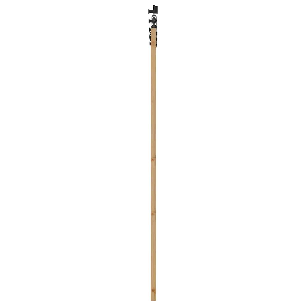 Schiebetür Natur 61 x 198,5 cm Solid Pine Wood and Glass