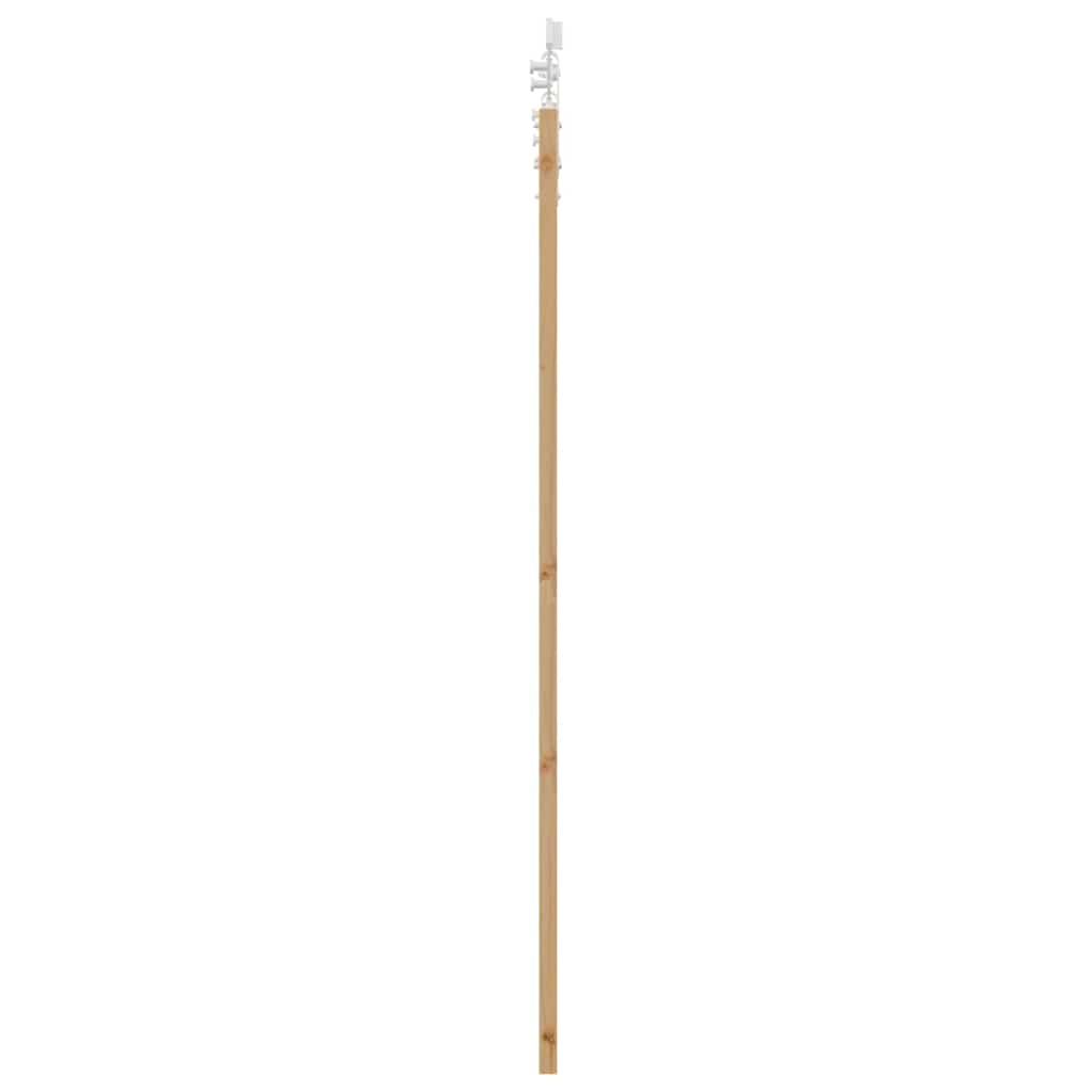Schiebetür Natur 61 x 198,5 cm Solid Pine Wood and Glass