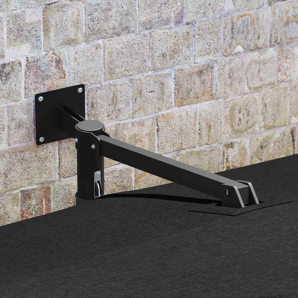Garten-Sonnenschirm Schwarz 248,5 x 247,5 x 160 cm