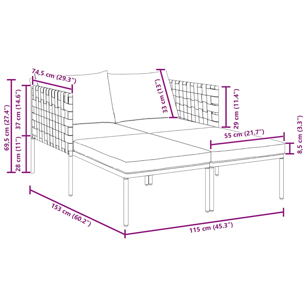 Sonnenliege mit Kissen 2-Person Anthrazit 153 x 115 x 69,5 cm