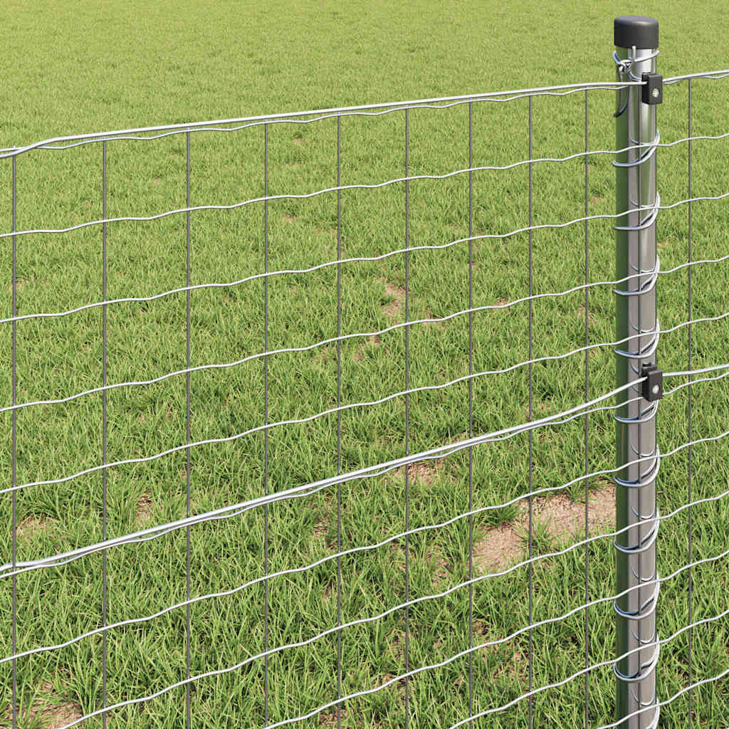 Eurozaun 1 x 10 m PVC-beschichtetes Eisen