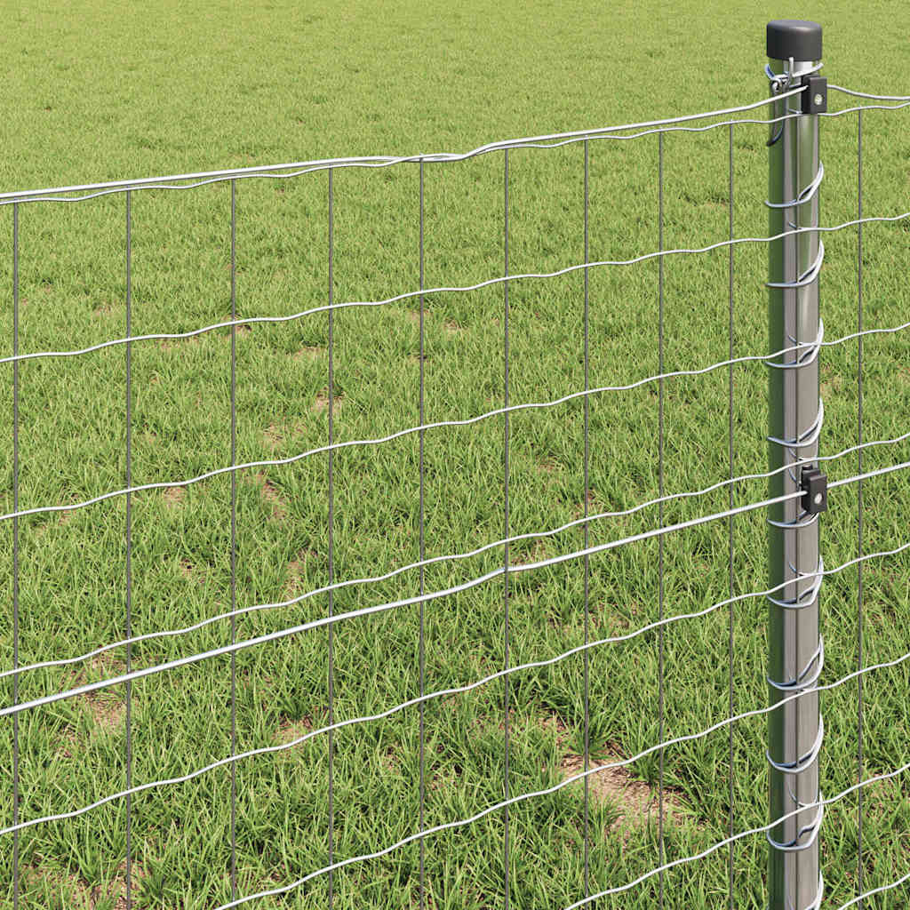 Eurozaun 1 x 10 m PVC-beschichtetes Eisen