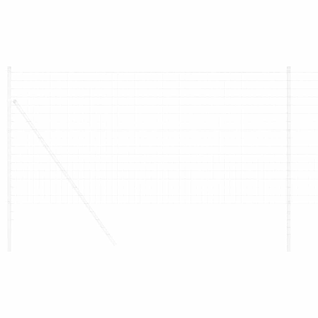 Eurozaun 1,2 x 10 m PVC-beschichtetes Eisen