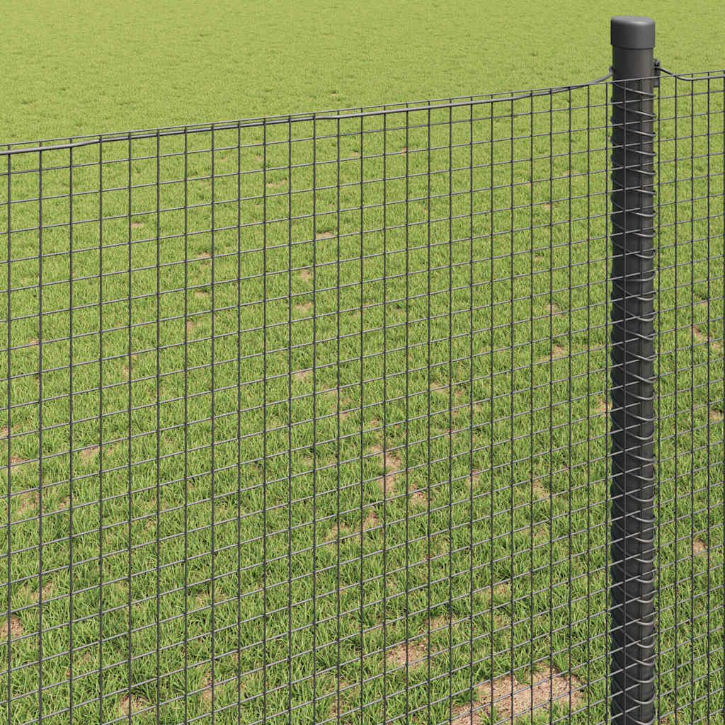 Geschweißter Drahtzaun 5000 x 100 cm Grau