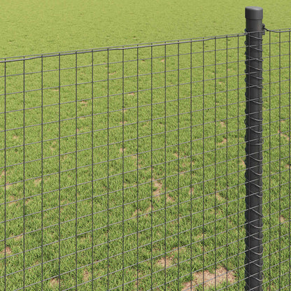 Doppelstabmattenzaun 100 x 0,8 m PVC Grau