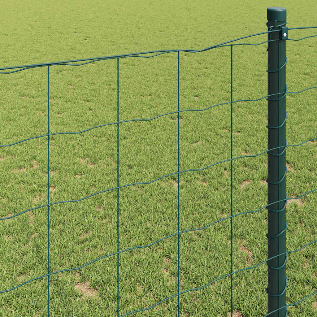 Eurozaun Grün 1,6 x 10m PVC-beschichtetes Eisen
