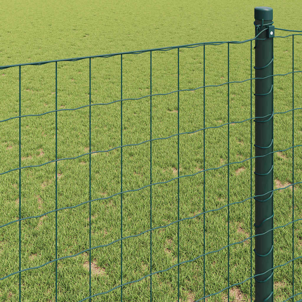 Eurozaun Grün 1 x 25m PVC-beschichtetes Eisen