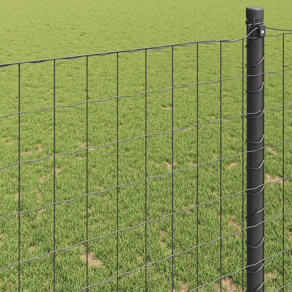 Eurozaun Grau 1,2 x 10 m PVC-beschichtetes Eisen
