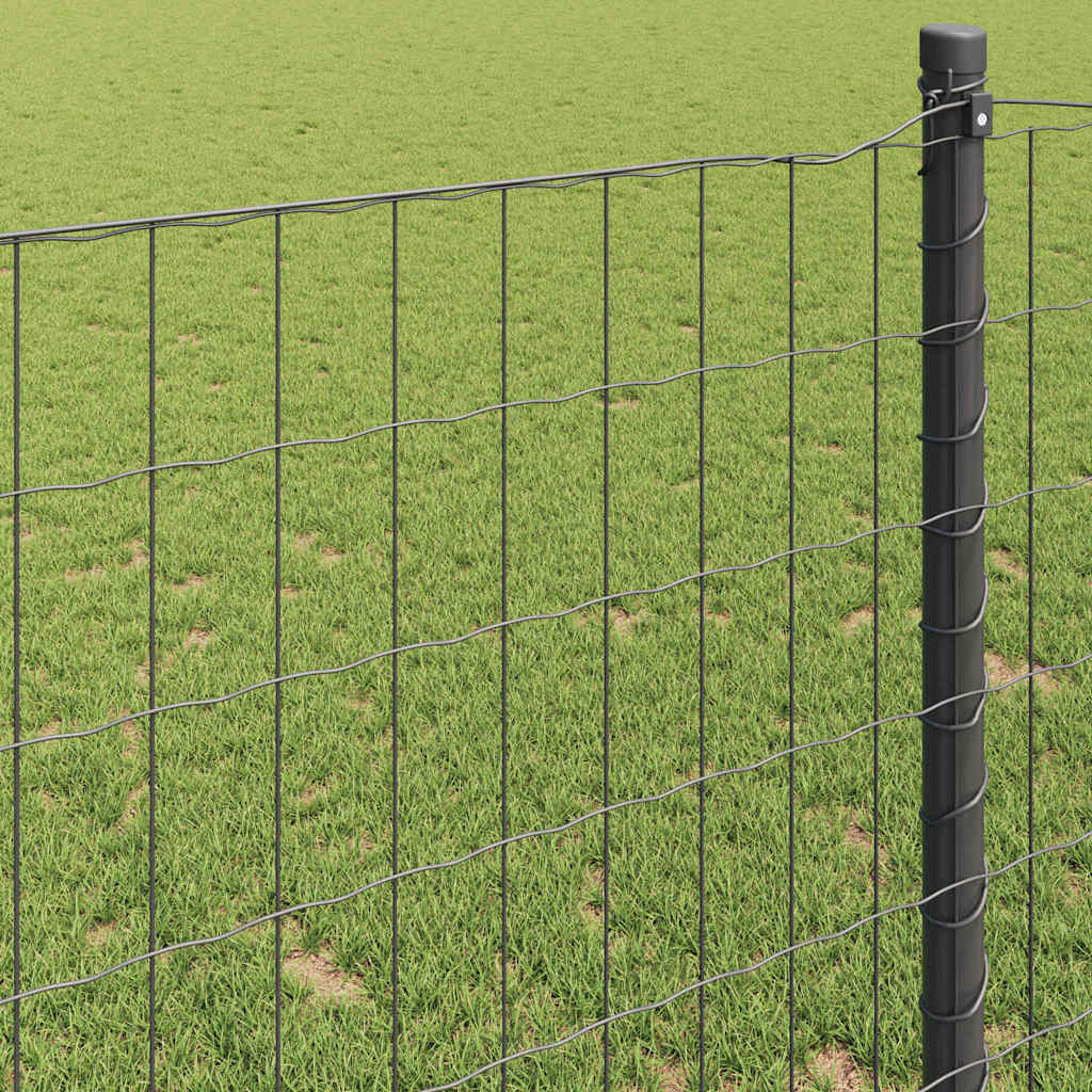 Eurozaun Grau 0,4 x 10 m PVC-beschichtetes Eisen
