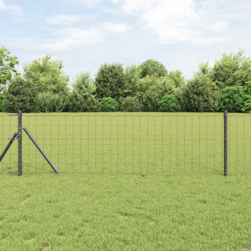 Eurozaun Grau 0,8 x 10 m PVC-beschichtetes Eisen