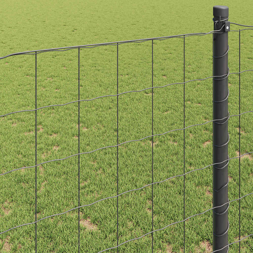 Eurozaun Grau 1,6 x 10 m PVC-beschichtetes Eisen