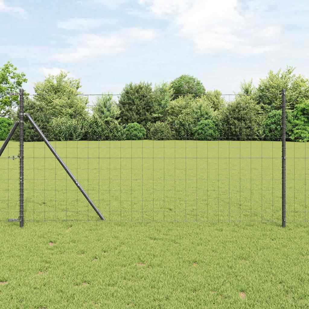 Eurozaun Grau 1,4 x 10 m PVC-beschichtetes Eisen