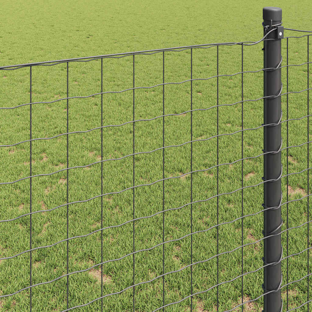 Eurozaun Grau 0,6 x 50 m PVC-beschichtetes Eisen