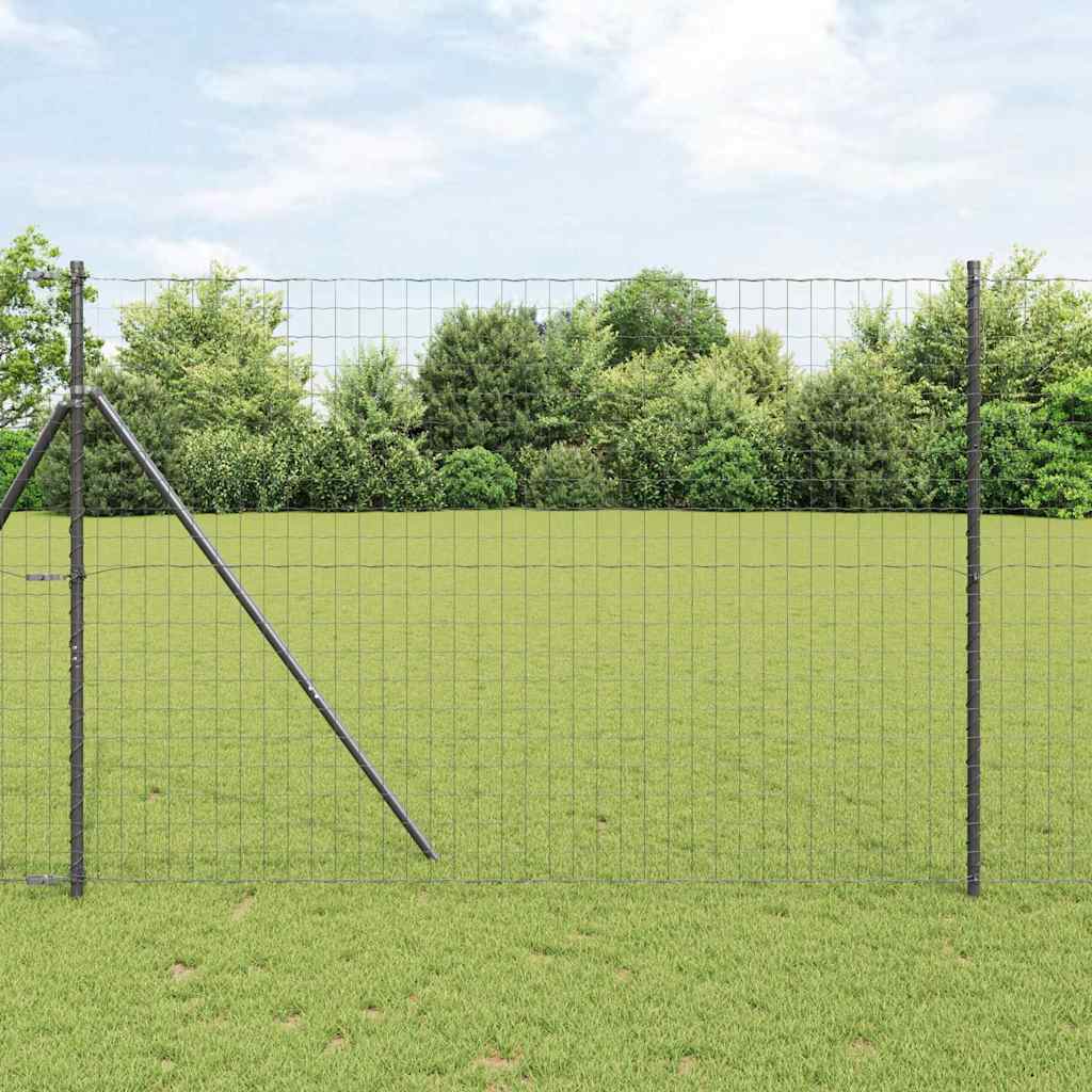 Eurozaun Schwarz 1,6 x 10 m PVC-beschichtetes Eisen