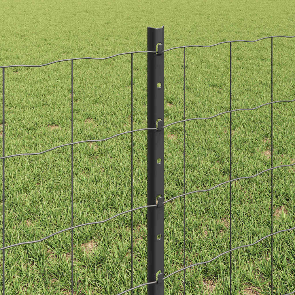 Geschweißter Drahtzaun 50 x 0,6 m (B x H)