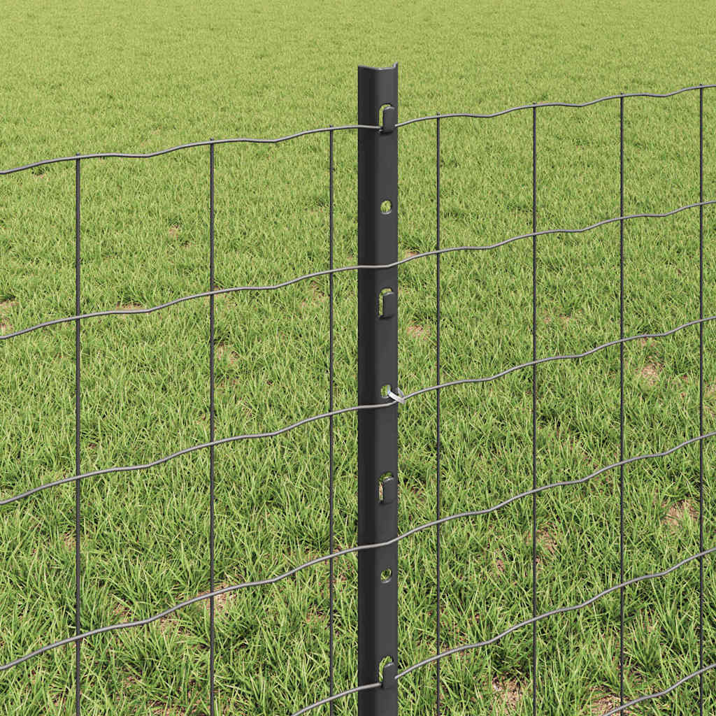 Geschweißter Drahtzaun 10 x 0,6 m (B x H)