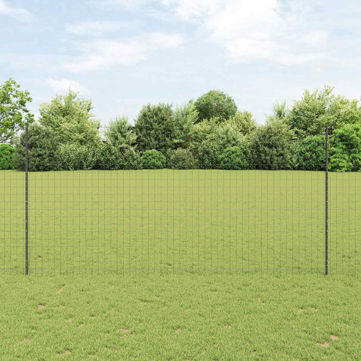 Geschweißter Drahtzaun 10 x 1,5 m (B x H)