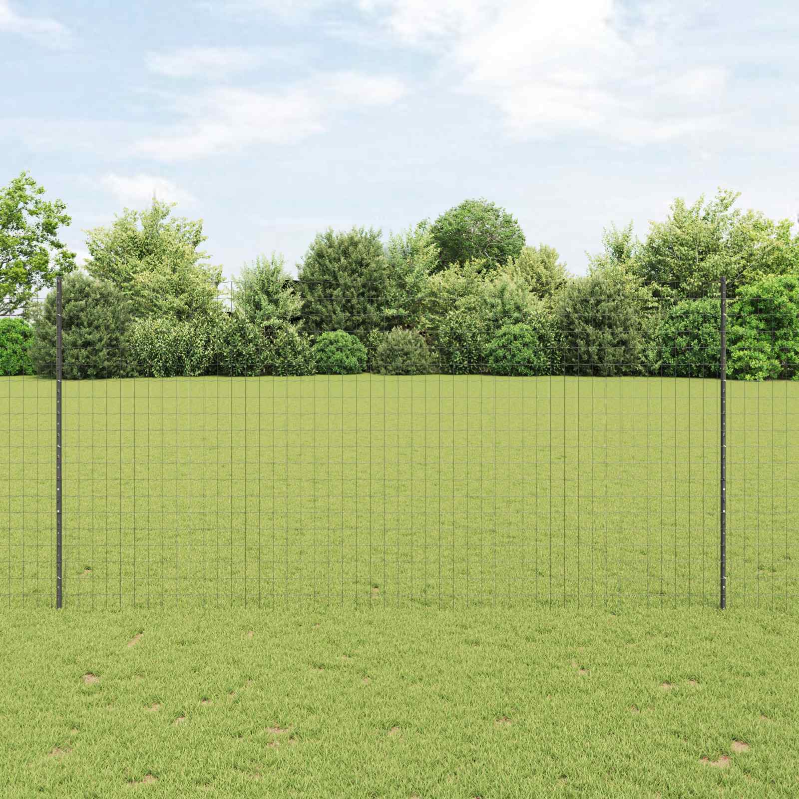 Geschweißter Drahtzaun 10 x 1,5 m (B x H)