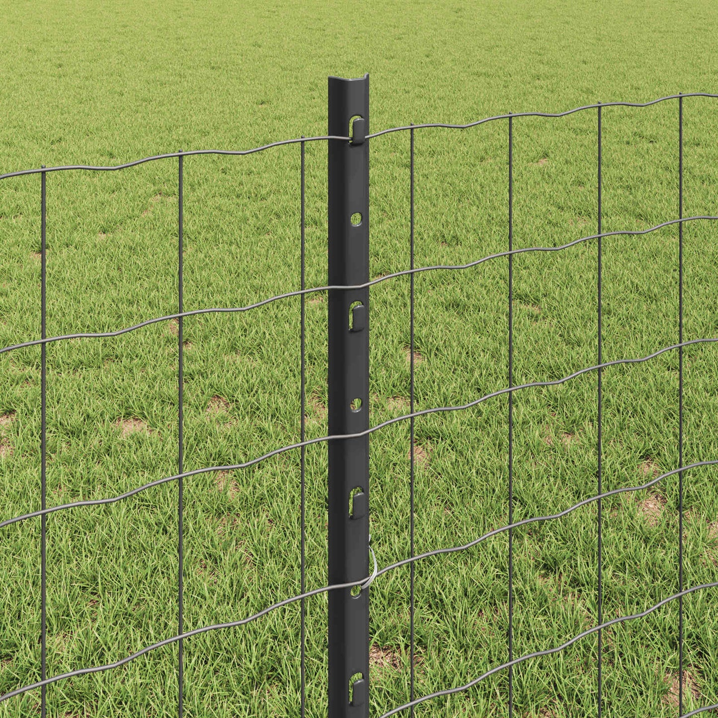 Geschweißter Drahtzaun 25 x 0,8 m (B x H)