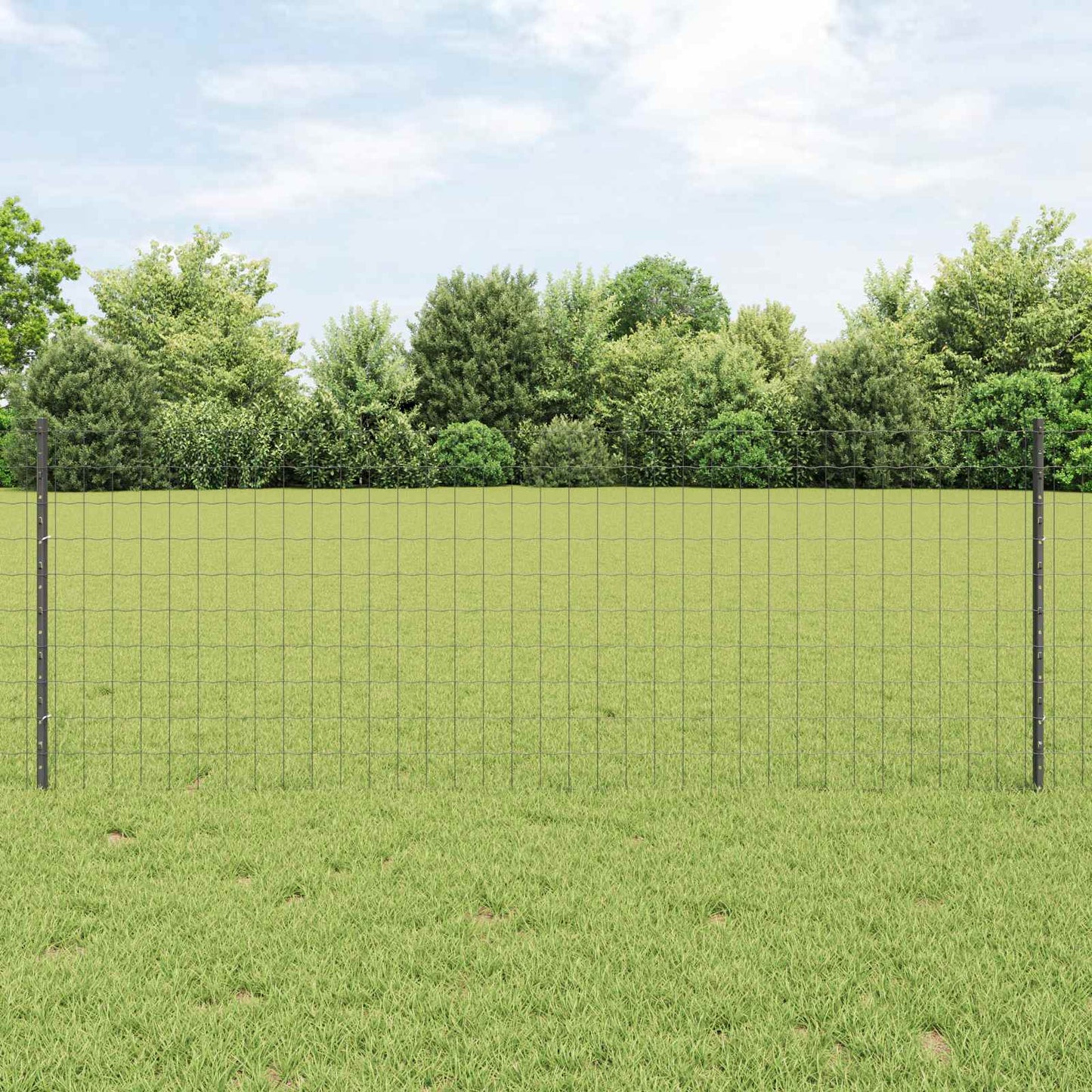 Geschweißter Drahtzaun 25 x 0,8 m (B x H)