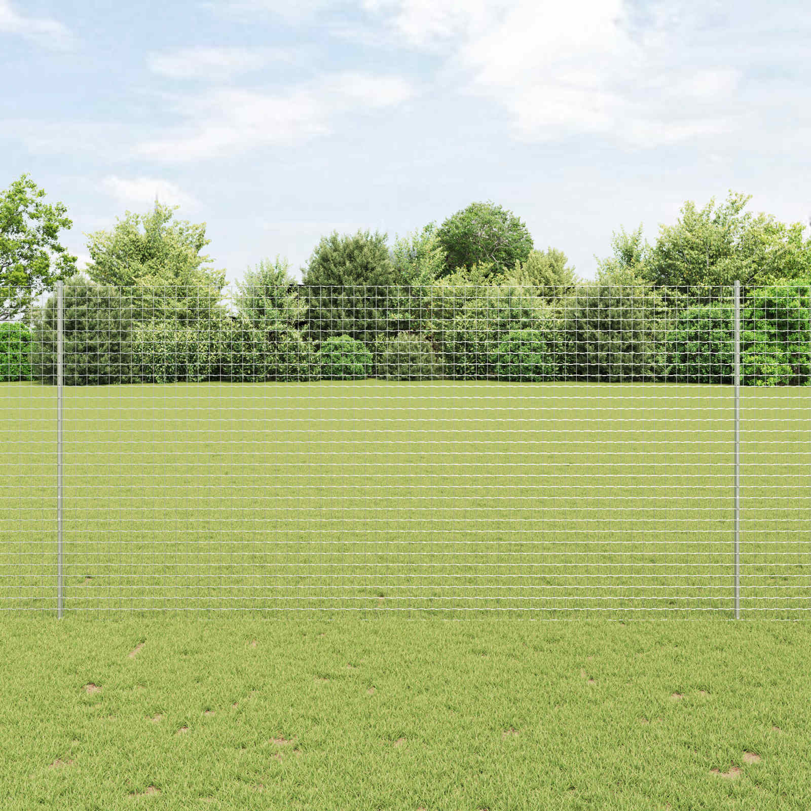 Euro-Zaun mit Pfosten 10 x 1,6 m Verzinkter Stahl Silber Netz