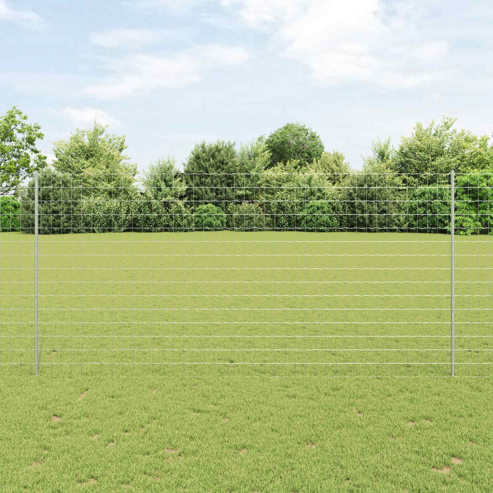 Euro-Zaun mit Pfosten 10 x 1,6 m Verzinkter Stahl Silber Netz