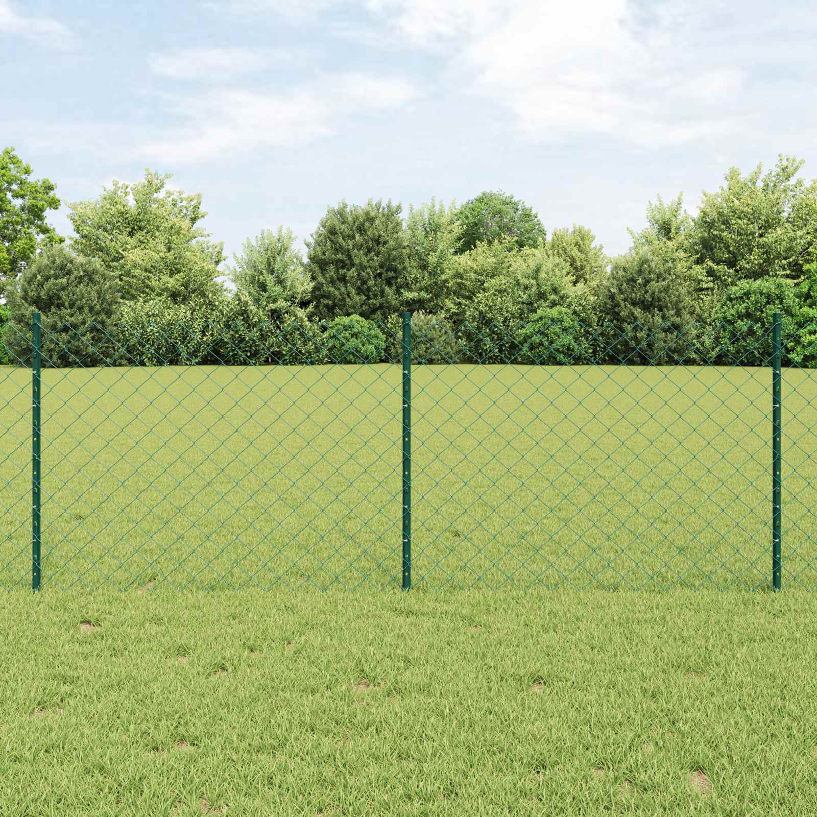 Maschendrahtzaun mit Pfosten 10 x 0,8 m PVC-beschichteter Stahl
