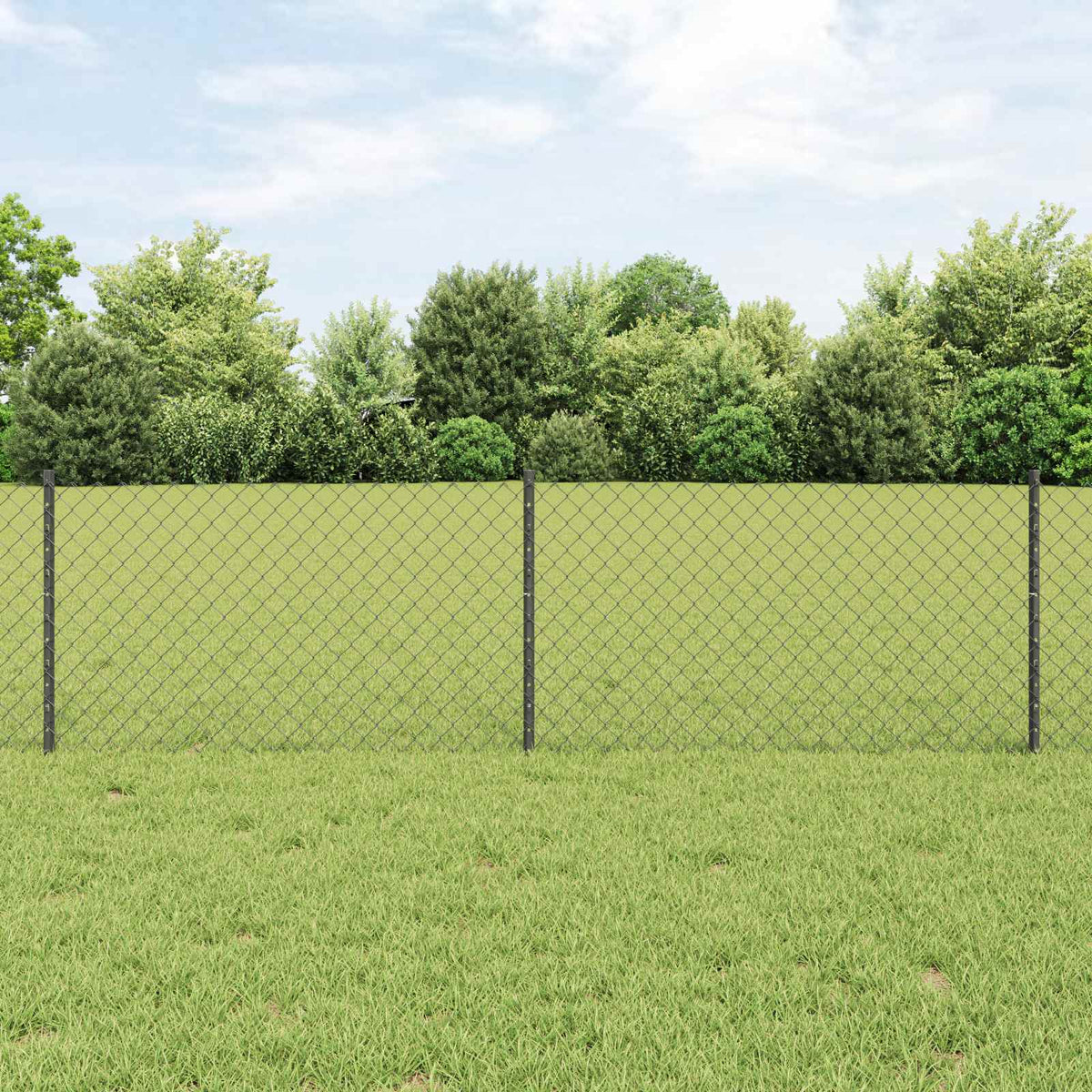 Maschendrahtzaun mit Pfosten 10 x 0,6 m PVC-beschichteter Stahl