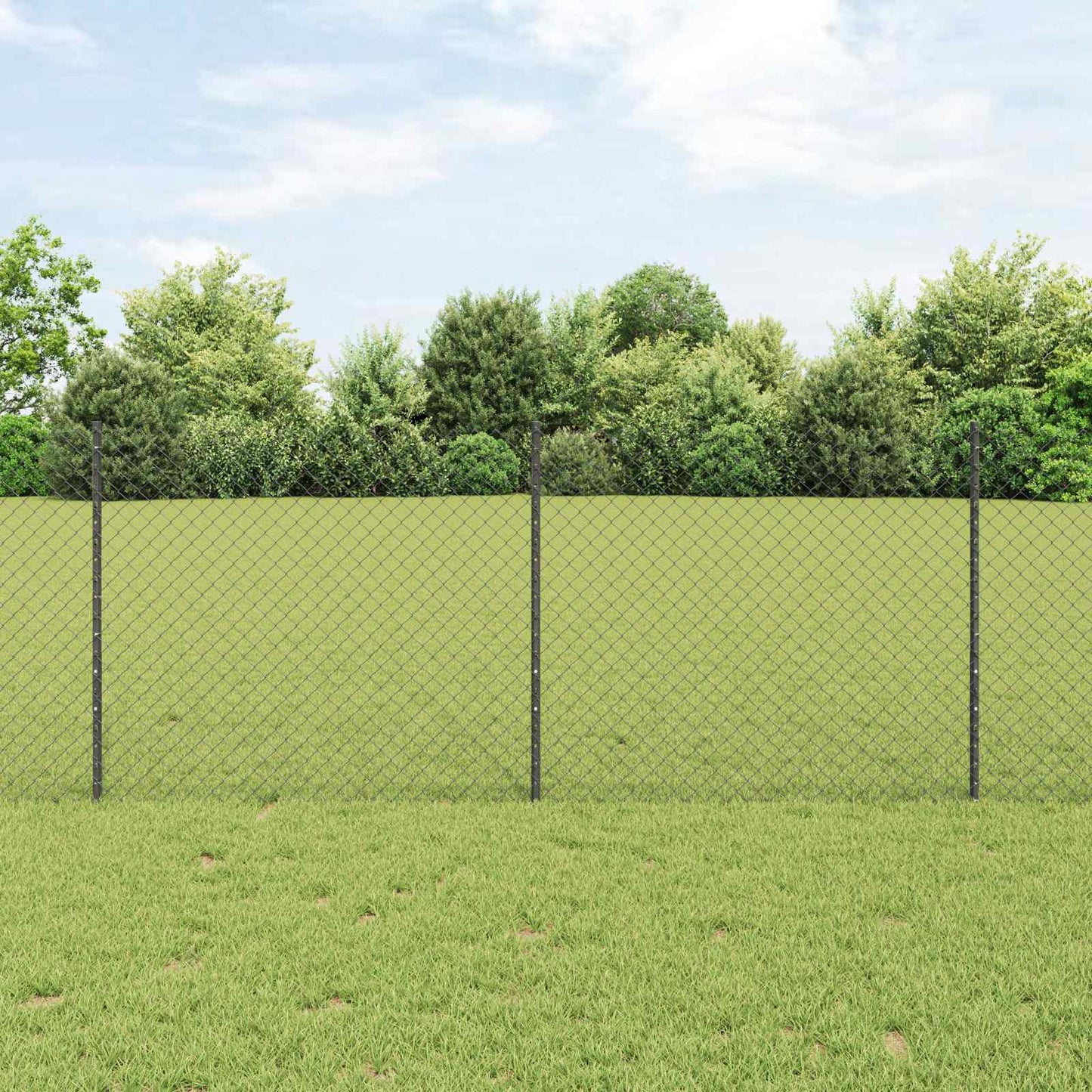 Kettenzaun mit Pfosten 10 x 1 m (B x H) PVC-beschichteter Stahl