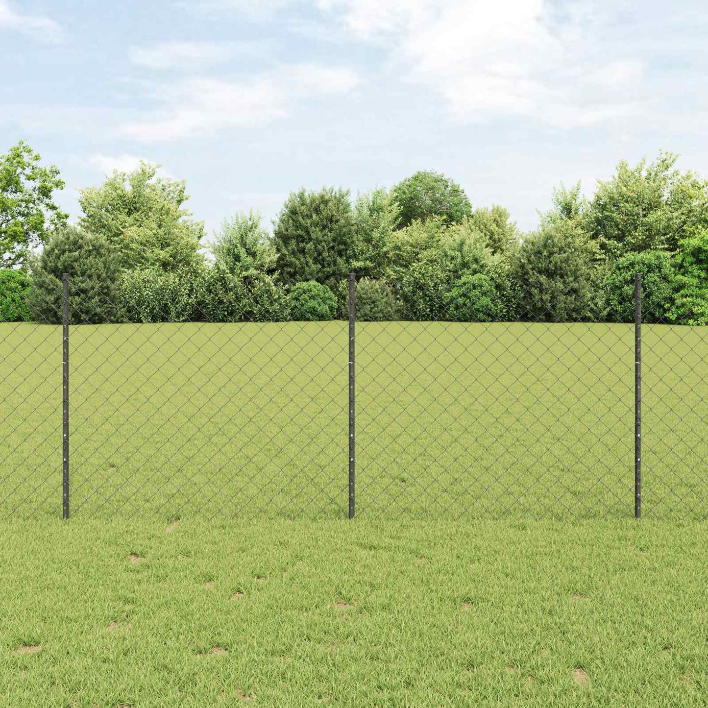 Maschendrahtzaun mit Pfosten 10 x 1 m PVC-beschichteter Stahl