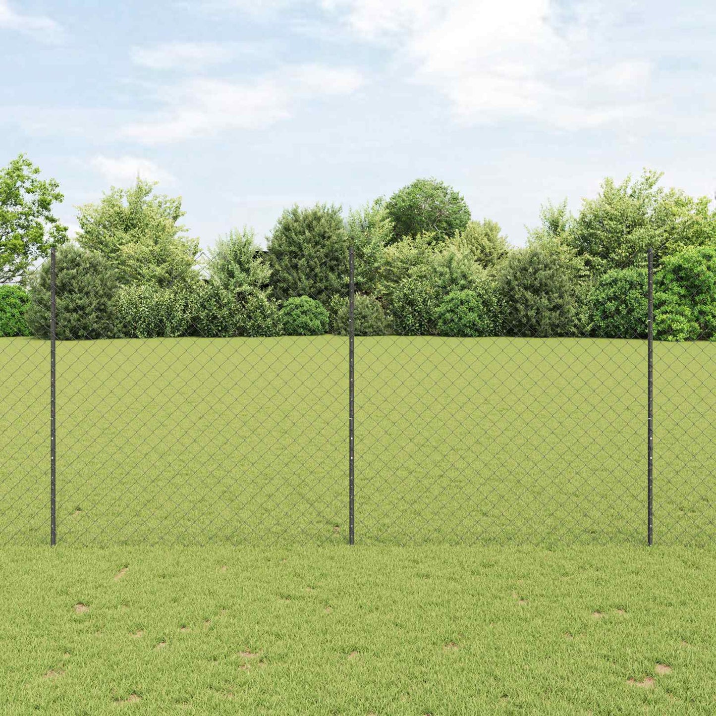Maschendrahtzaun mit Pfosten 10 x 1,6 m PVC-beschichteter Stahl
