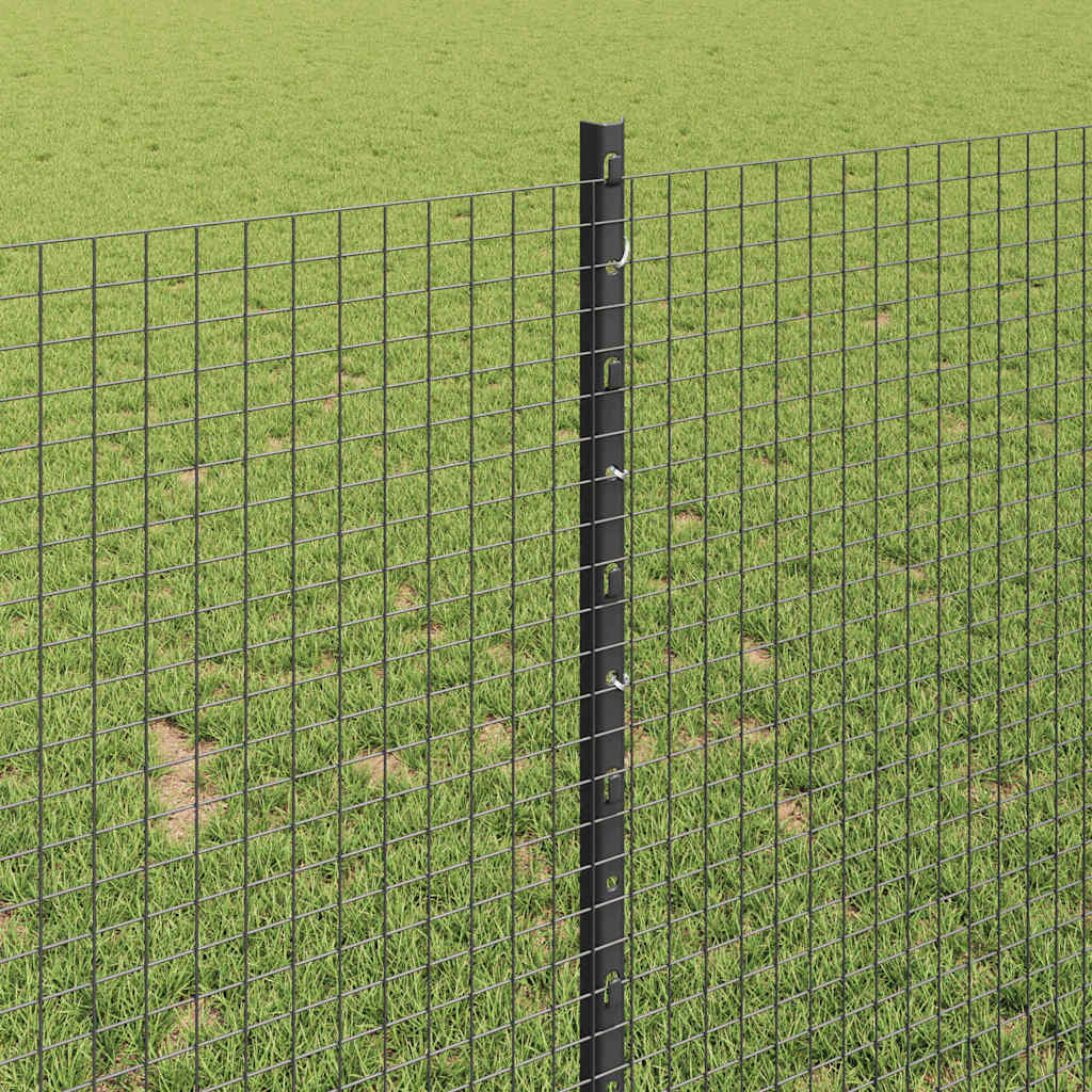 Schweißdrahtzaun mit Pfosten 10 x 1 m (B x H)