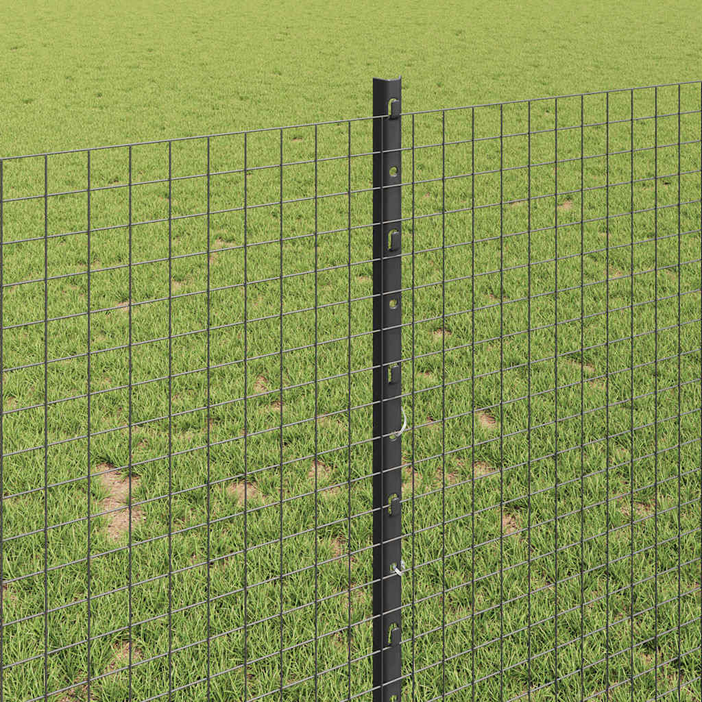 Schweißdrahtzaun mit Pfosten 10 x 1 m (B x H)