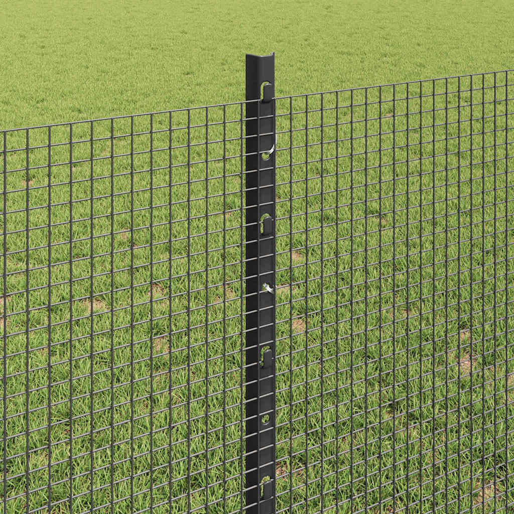 Schweißdrahtzaun mit Pfosten 100 x 0,8 m Grau Netz