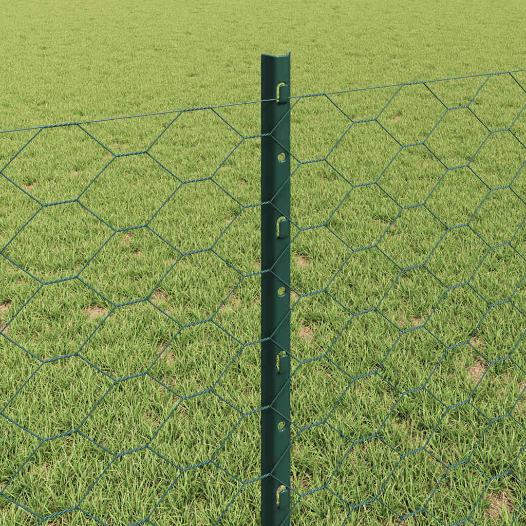 Geschweißter Drahtzaun 10 x 0,8 m (B x H)