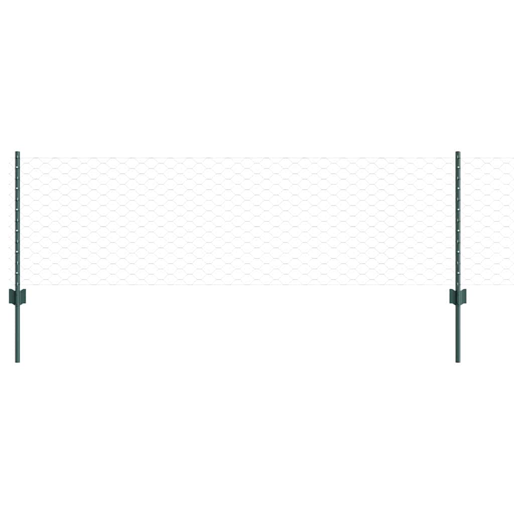 Geschweißter Drahtzaun 100 x 0,6 m (B x H)
