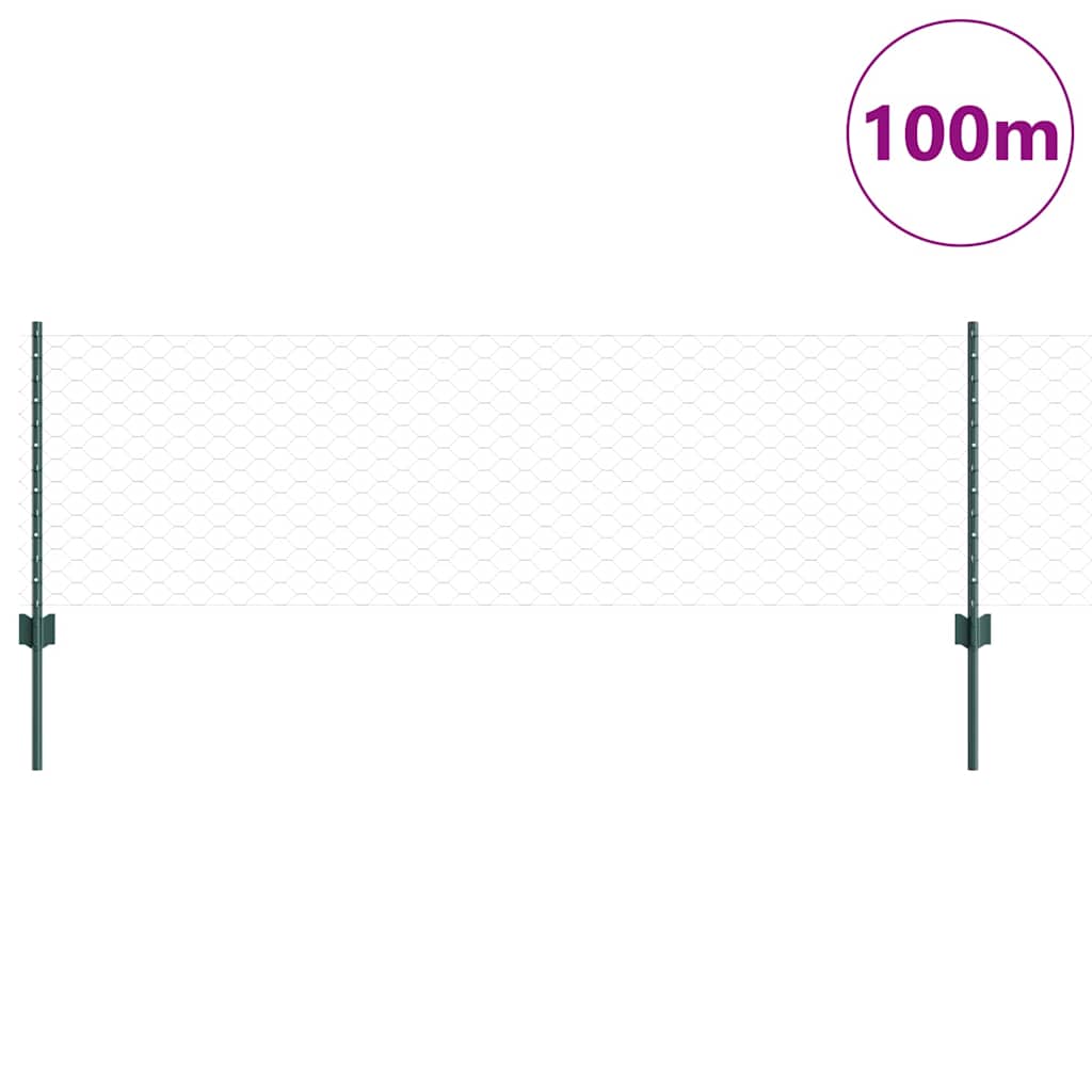 Geschweißter Drahtzaun 100 x 0,6 m (B x H)