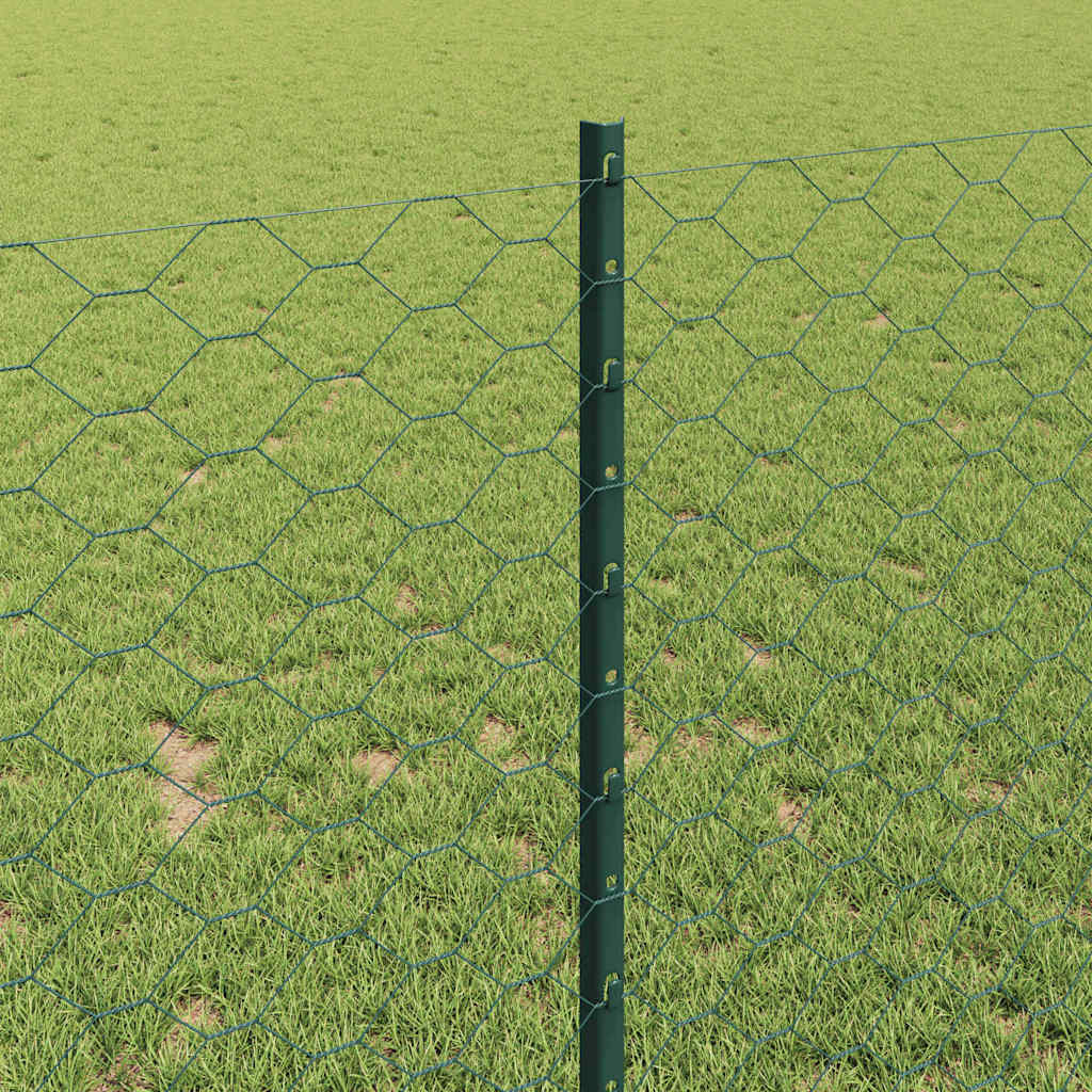 Geschweißter Drahtzaun 100 x 1 m (B x H)