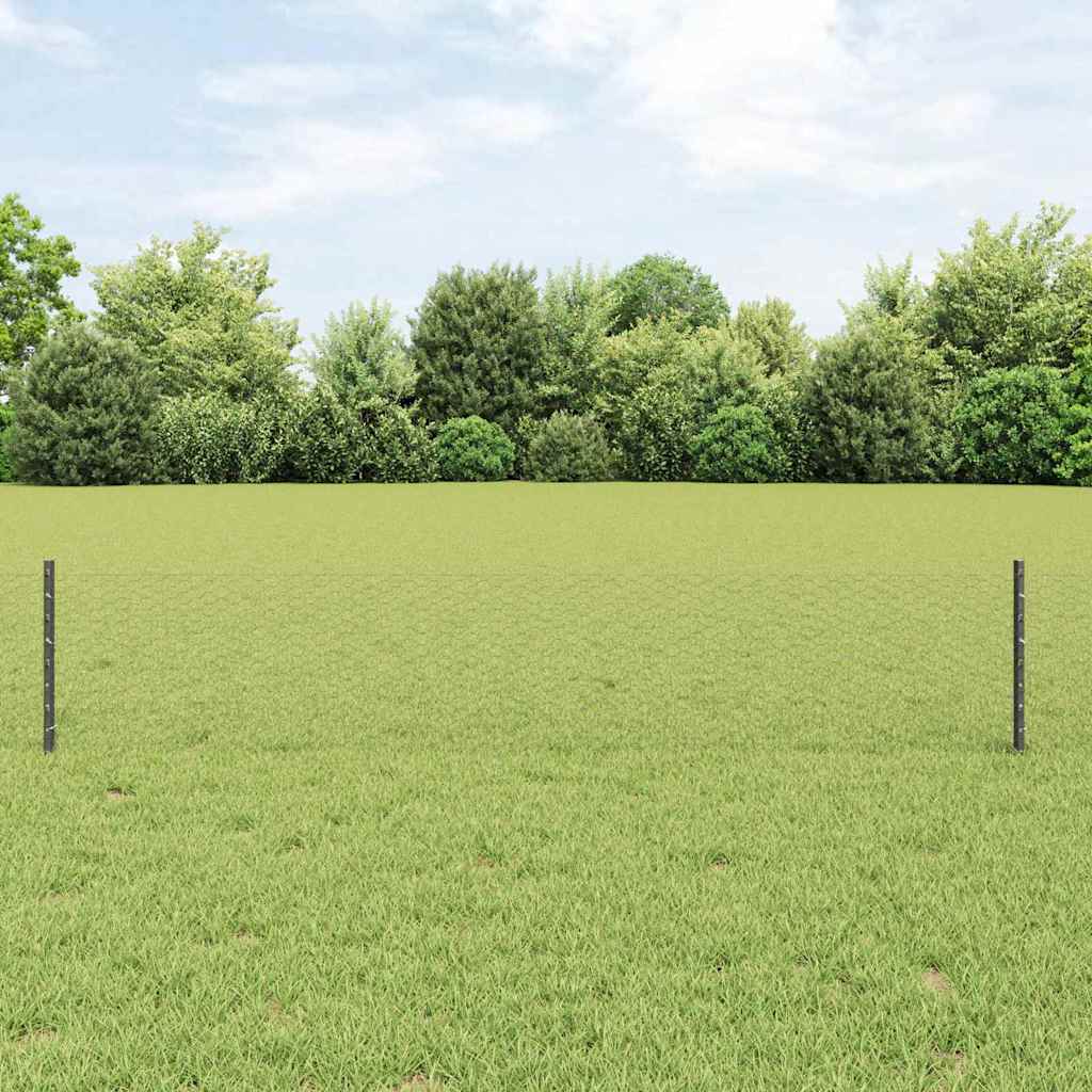 Geschweißter Drahtzaun 10 x 0,4 m (B x H)